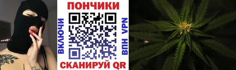 Конопля конопля Купить закладки Фатеж